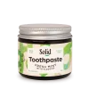 solid fresh mint toothpaste jar - plastic free