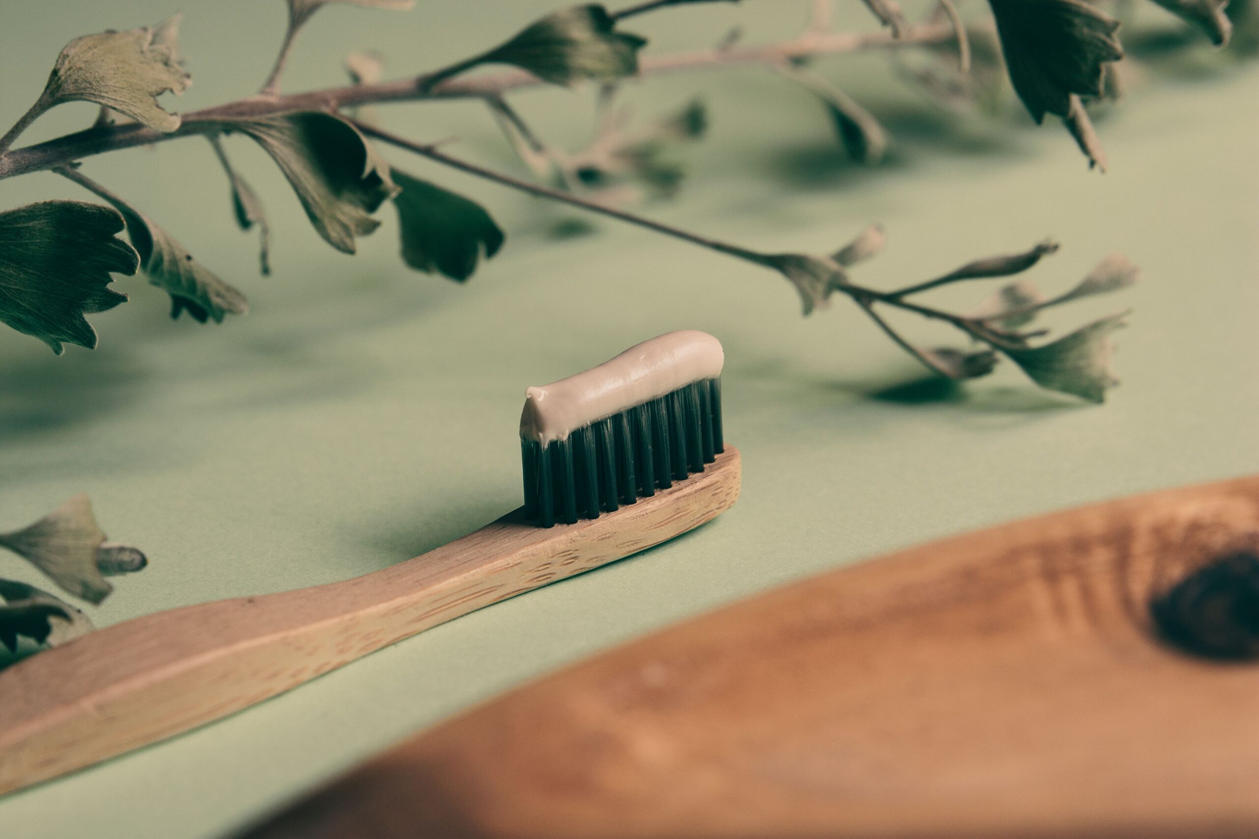 Homemade toothpaste on toothbrush